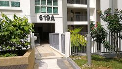 Blk 619A Punggol Drive (Punggol), HDB 4 Rooms #164865272